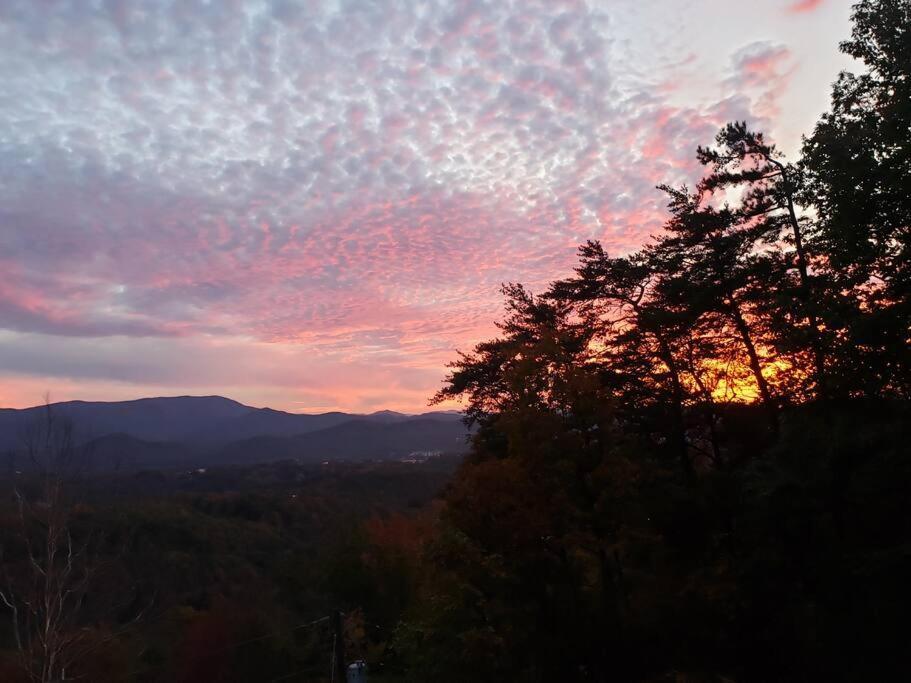 Yogi'S Den: Breathtaking Views! 3 Min To Dollywood, On 1 Acre! Villa เซอเวียร์วีล ภายนอก รูปภาพ