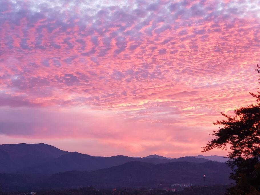 Yogi'S Den: Breathtaking Views! 3 Min To Dollywood, On 1 Acre! Villa เซอเวียร์วีล ภายนอก รูปภาพ